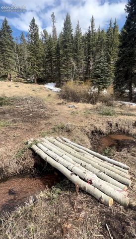 1570 Pathfinder Road, Florissant, CO 80816