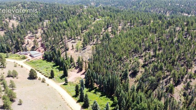 1570 Pathfinder Road, Florissant, CO 80816
