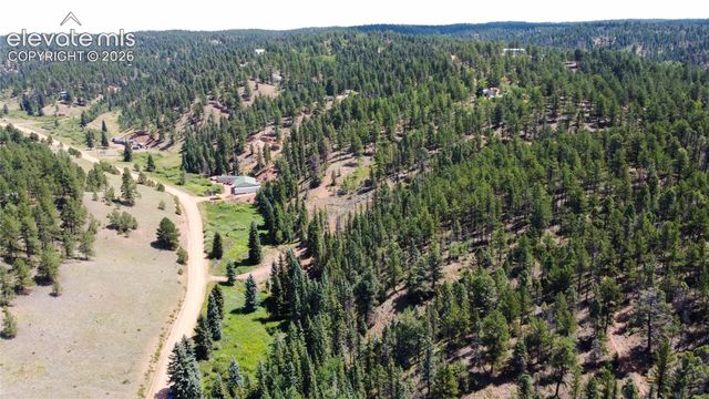 1570 Pathfinder Road, Florissant, CO 80816