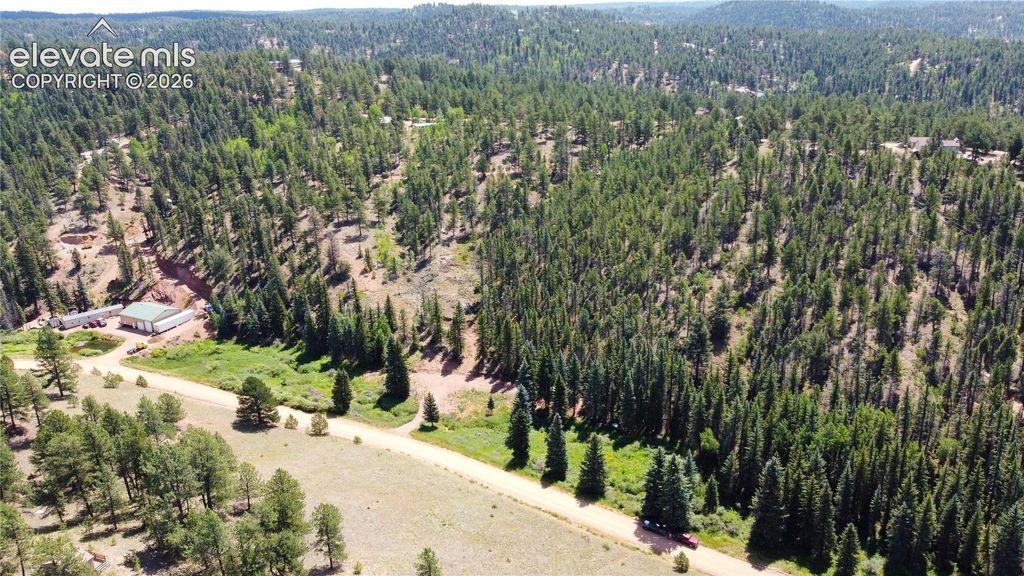 1570 Pathfinder Road, Florissant, CO 80816