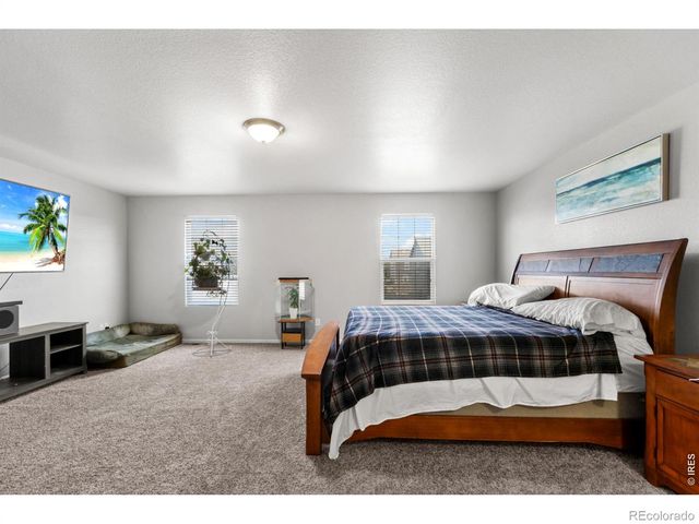 3690 Cornflower Street, Wellington, CO 80549