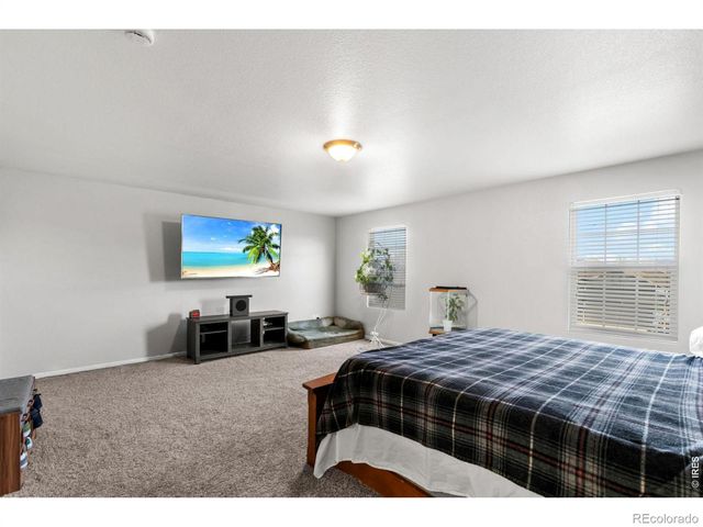 3690 Cornflower Street, Wellington, CO 80549