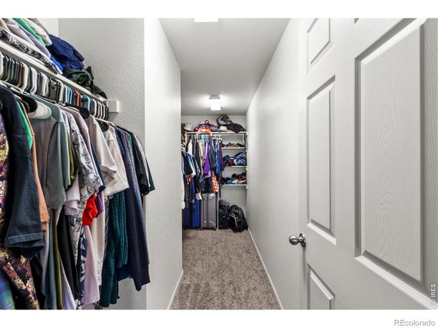 3690 Cornflower Street, Wellington, CO 80549