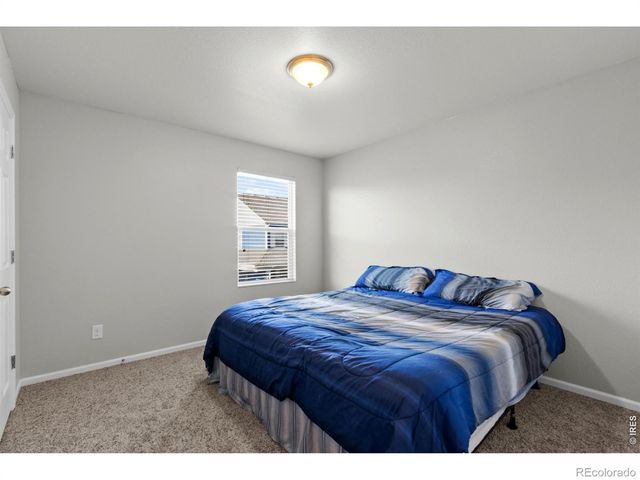 3690 Cornflower Street, Wellington, CO 80549