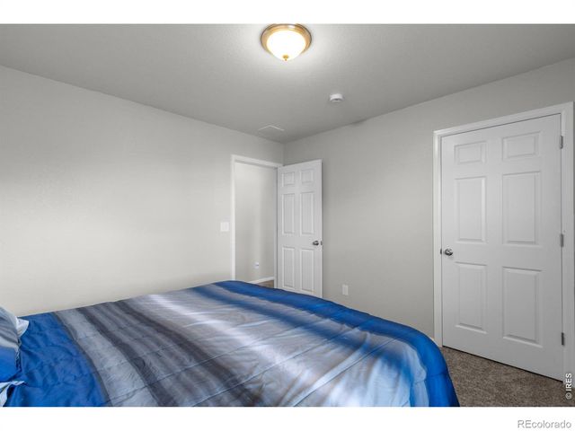 3690 Cornflower Street, Wellington, CO 80549