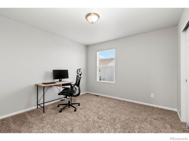 3690 Cornflower Street, Wellington, CO 80549