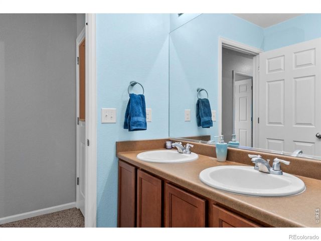 3690 Cornflower Street, Wellington, CO 80549