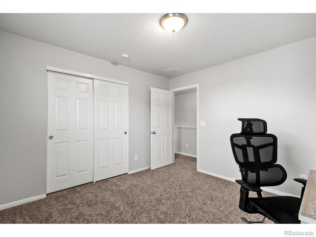 3690 Cornflower Street, Wellington, CO 80549