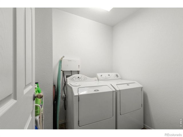 3690 Cornflower Street, Wellington, CO 80549