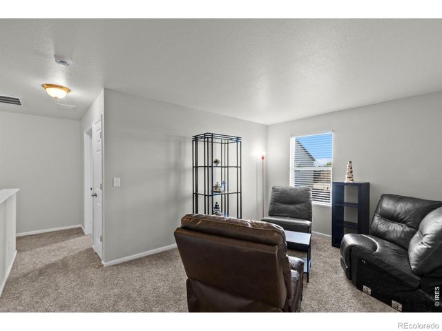 3690 Cornflower Street, Wellington, CO 80549
