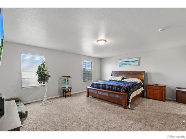 3690 Cornflower Street, Wellington, CO 80549
