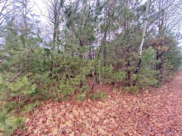 Lot 1 SIDELINE ROAD, Wausau, WI 54403
