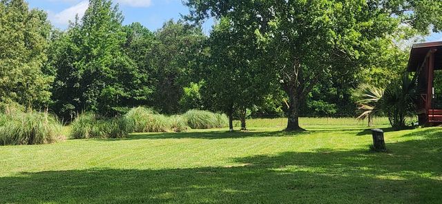 32332 W State Highway 49, Avinger, TX 75630