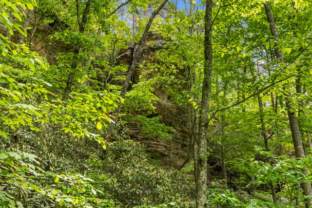 77 Lloyd Lane, Stanton, KY 40380