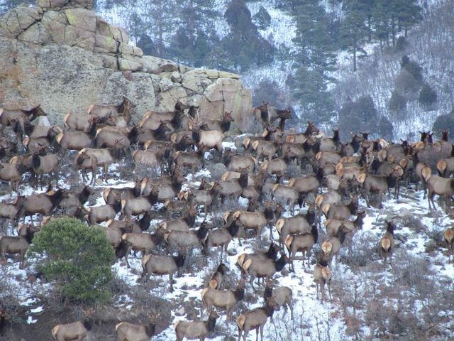 741 Big Wall Ln, La Veta, CO 81055