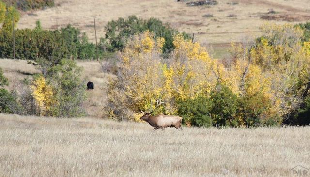 741 Big Wall Ln, La Veta, CO 81055