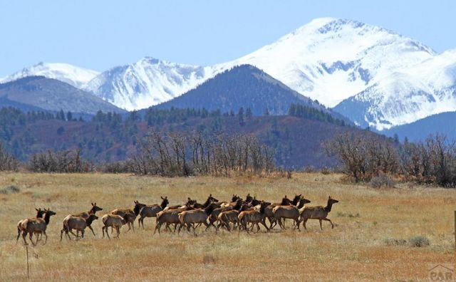 741 Big Wall Ln, La Veta, CO 81055