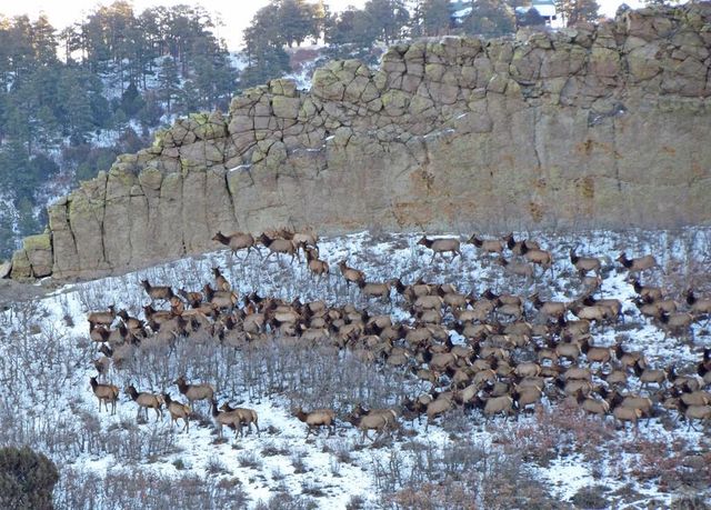 741 Big Wall Ln, La Veta, CO 81055