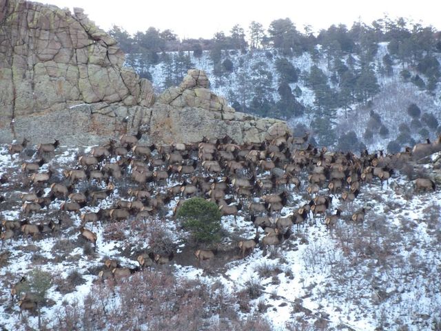 741 Big Wall Ln, La Veta, CO 81055