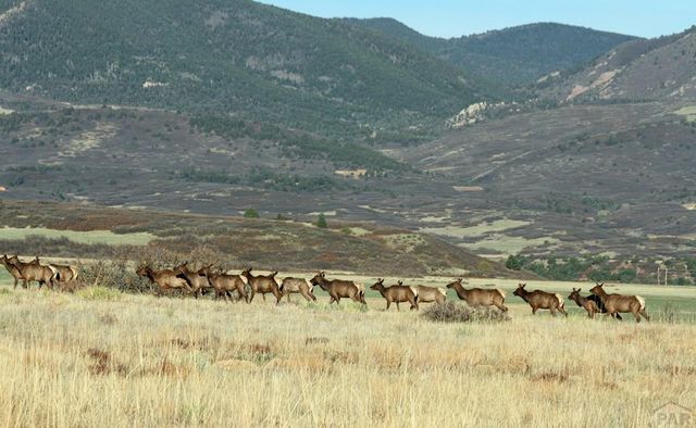 741 Big Wall Ln, La Veta, CO 81055