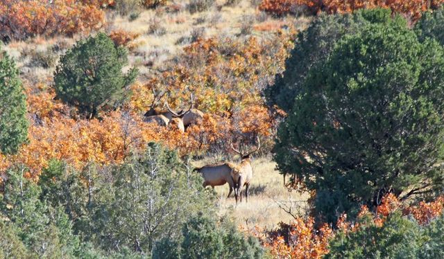 741 Big Wall Ln, La Veta, CO 81055