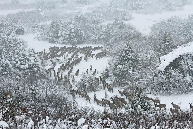 741 Big Wall Ln, La Veta, CO 81055