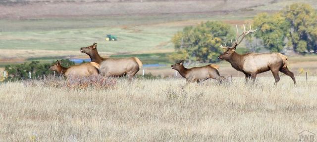 741 Big Wall Ln, La Veta, CO 81055