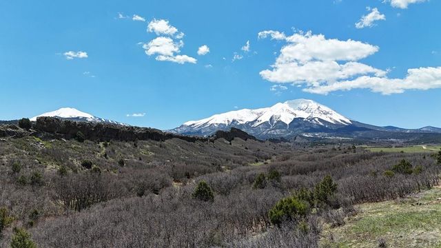 741 Big Wall Ln, La Veta, CO 81055