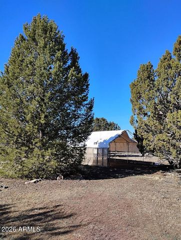 8850 HAPPY Trail, Show Low, AZ 85901