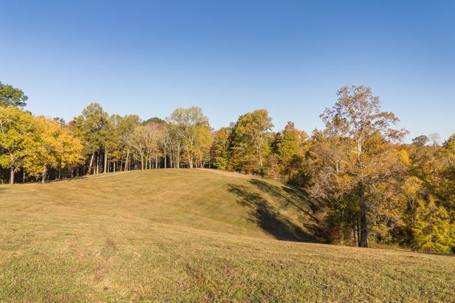 3899 Boston Theta Road, Thompsons Station, TN 37179