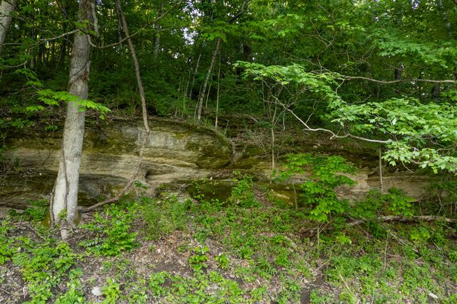 3899 Boston Theta Road, Thompsons Station, TN 37179