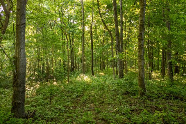 3899 Boston Theta Road, Thompsons Station, TN 37179