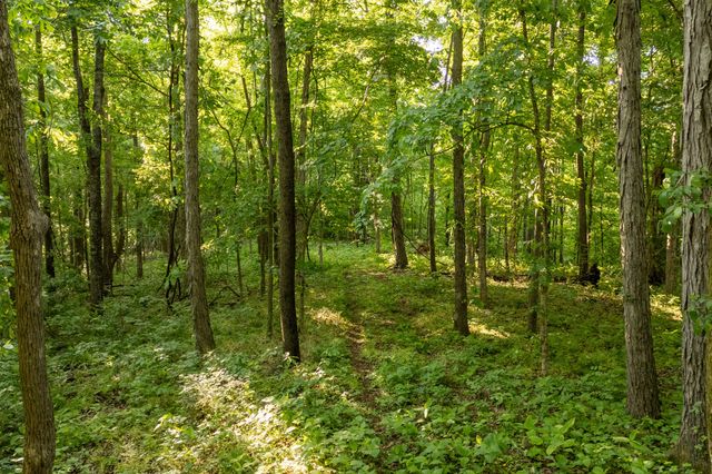 3899 Boston Theta Road, Thompsons Station, TN 37179