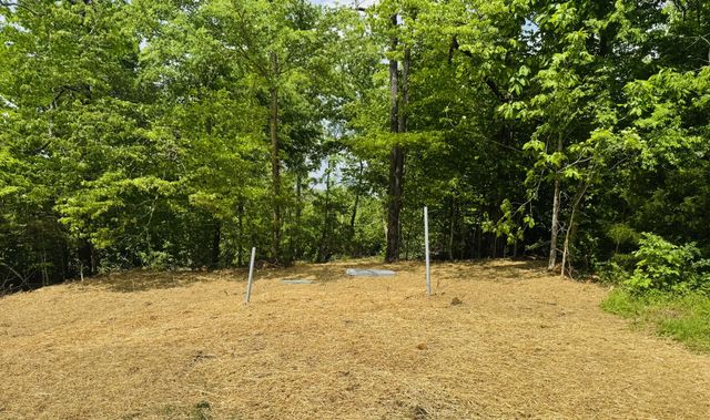 3899 Boston Theta Road, Thompsons Station, TN 37179