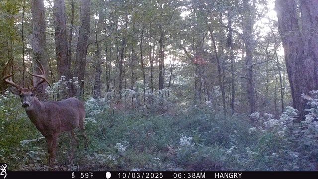 3899 Boston Theta Road, Thompsons Station, TN 37179