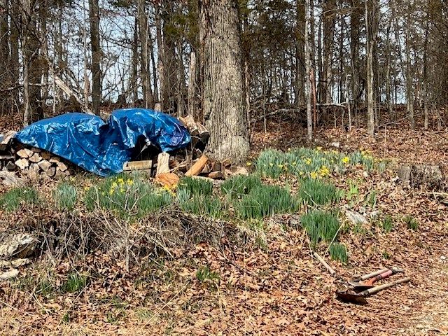 1839 Bunch Springs Road, Berryville, AR 72616