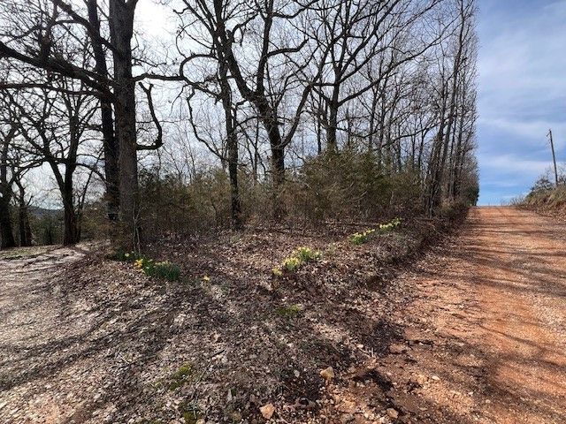 1839 Bunch Springs Road, Berryville, AR 72616