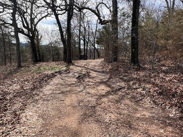 1839 Bunch Springs Road, Berryville, AR 72616