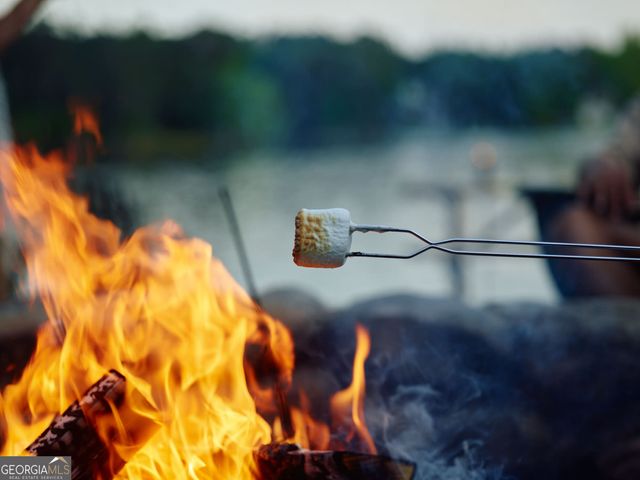 1131 Silverton Drive, Greensboro, GA 30642