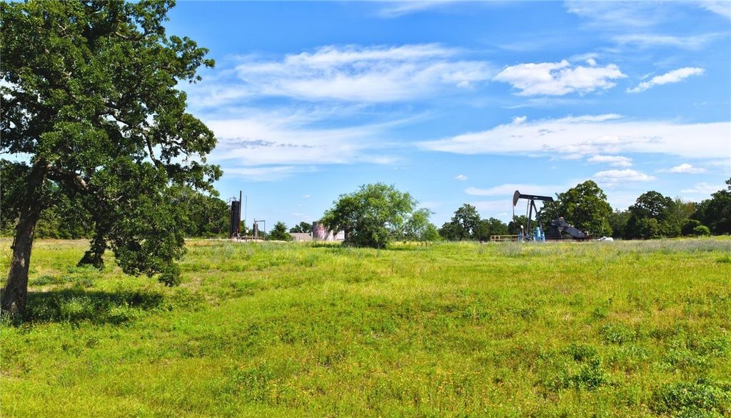 (Tract 2) Green Hill Road (+/-10.2 acres), Caldwell, TX 77836 — photo 5