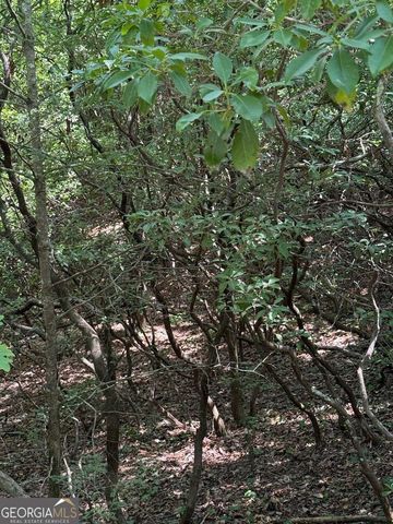 0 Crumley Creek Road TRACT 2, Sautee Nacoochee, GA 30571