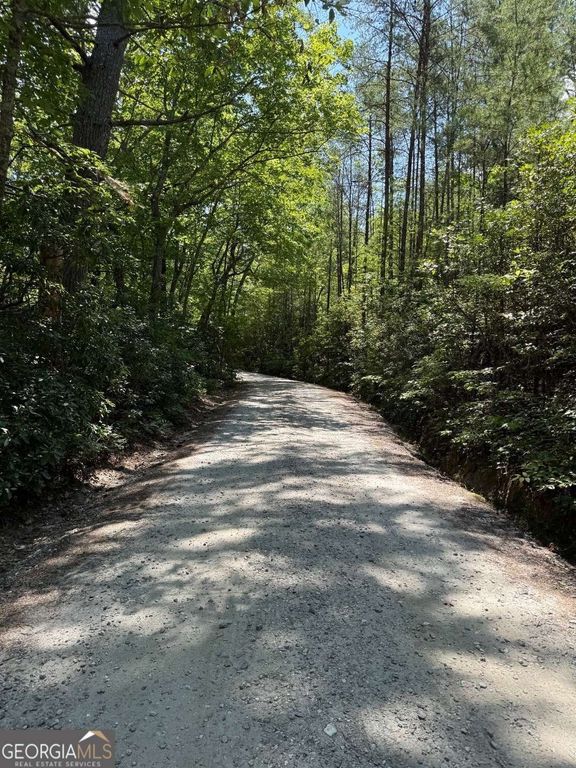 0 Crumley Creek Road TRACT 2, Sautee Nacoochee, GA 30571