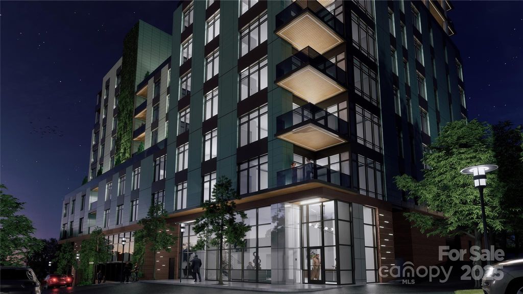 161 Church Street 1002, Asheville, NC 28801