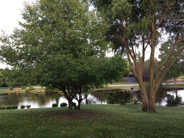 4 Windsor Court, South Barrington, IL 60010