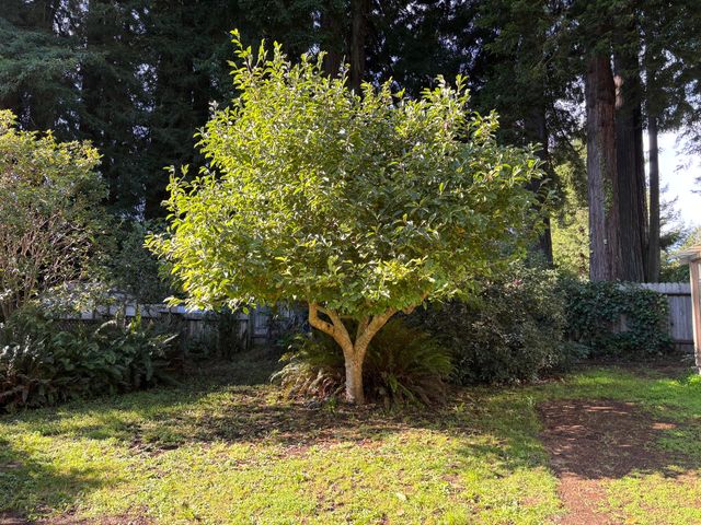 753 Shirley Boulevard, Arcata, CA 95521