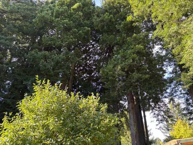 753 Shirley Boulevard, Arcata, CA 95521