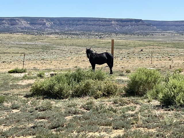 3191 W Rte 9, Crownpoint, NM 87313