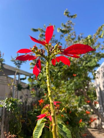 200 N El Camino Real 150, Oceanside, CA 92058