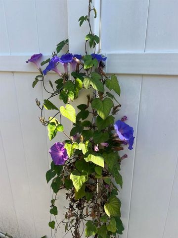 200 N El Camino Real 150, Oceanside, CA 92058