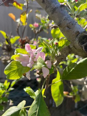 200 N El Camino Real 150, Oceanside, CA 92058